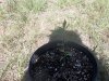 100_0214.jpg
