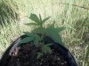 100_0213.jpg