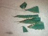 leaf1.jpg