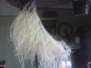 DSC00102.jpg