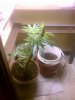 IMAG0751.jpg