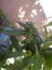 DSCN0732.jpg
