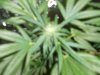 DSCN1019.jpg