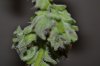 DSC_0048.jpg