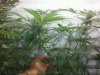 2012-06-07_12.19.55.jpg