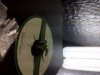 IMG-20120608-00927.jpg