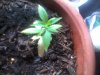 120605_003.jpg