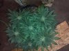 2012-06-09_09-30-44_862.jpg