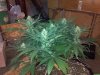 2012-06-09_09-30-55_215.jpg