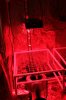 Led Tent 003 (533x800).jpg