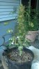2012-06-10_19-53-29_836.jpg