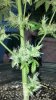 2012-06-10_19-51-06_516.jpg