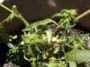 DSCN0781.jpg