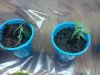 2012-06-11_23-23-26_803.jpg