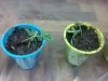 2012-06-11_23-23-20_585.jpg