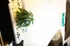 IMG_0005.jpg IMG_0005.jpg