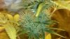 2012-06-14_02-54-35_118.jpg