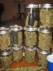 jars.jpg