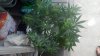 2012-06-14_19-36-17_491.jpg