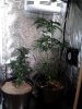 2012-06-15 14.25.41.jpg