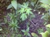 IMG-20120614-03359.jpg