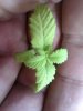 IMAG0166.jpg