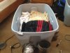 IMG_1744.jpg IMG_1744.jpg