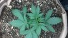 2012-06-15_20-02-28_609.jpg