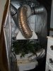 DSCN3338.jpg