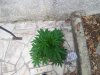 2012-06-15 17.13.19.jpg