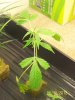 Next Grow M 003.jpg