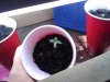20120617_012906.jpg
