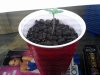 20120617_012619.jpg