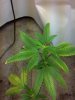 2012-06-17_20-46-25_67.jpg