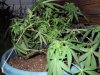 DSC01634.JPG