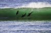 int surfing day.jpg