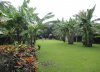 DSC00995.jpg DSC00995.jpg