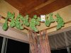 IMG_2151.jpg