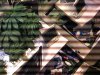 IMG_0032.jpg