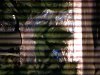 IMG_0042.jpg
