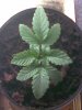 Image000.jpg