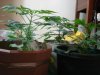 DSC04783.JPG