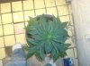 Picture 024.jpg