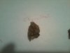 IMG_20120622_211546.jpg