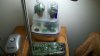 2012-06-24_20-56-27_887.jpg