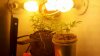 2012-06-24_20-56-17_97.jpg