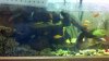 2012-06-25_05-20-44_421.jpg 2012-06-25_05-20-44_421.jpg