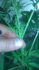 IMAG0863.jpg