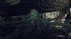phone pics 136.jpg