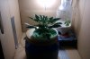 IMAG0086.jpg